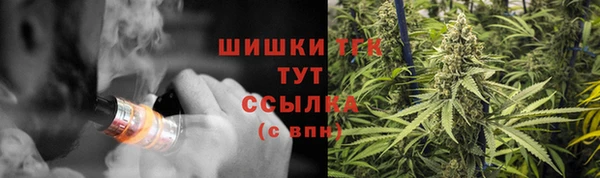 дмт Каменск-Шахтинский