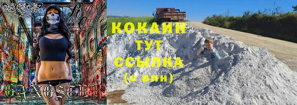 дмт Каменск-Шахтинский